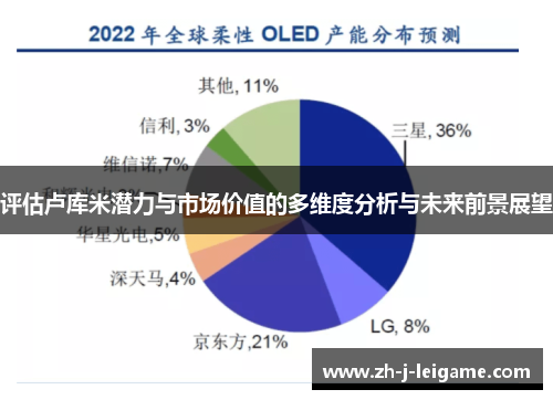 评估卢库米潜力与市场价值的多维度分析与未来前景展望