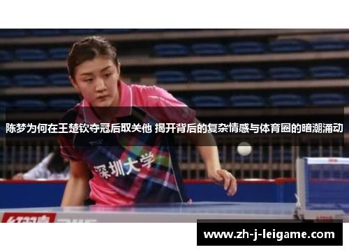 陈梦为何在王楚钦夺冠后取关他 揭开背后的复杂情感与体育圈的暗潮涌动