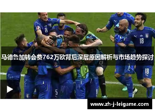 马德鲁加转会费762万欧背后深层原因解析与市场趋势探讨