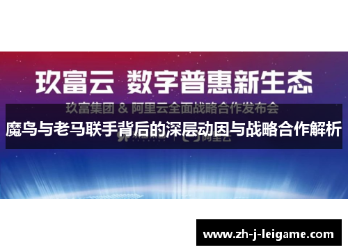 魔鸟与老马联手背后的深层动因与战略合作解析